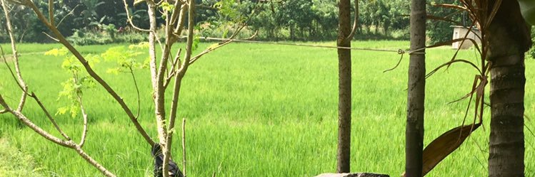 SaiduTweets's profile banner image