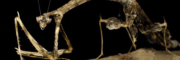 DrTimCockerill Profile Banner