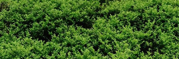 alexgreenfry's profile banner image