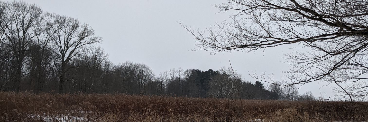 CoryDet's profile banner image