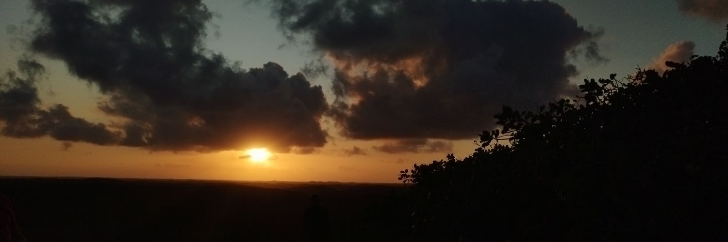 CriaDo202's profile banner image
