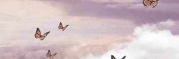 beshmarie's profile banner image