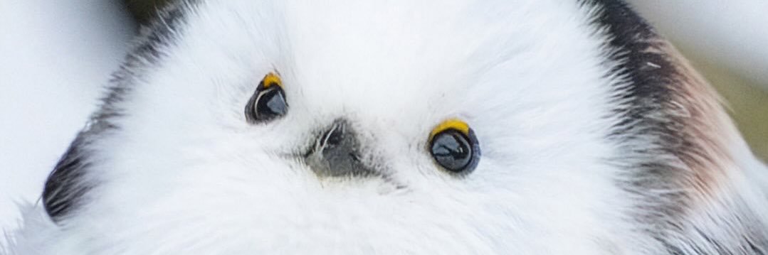 377gzl's profile banner image