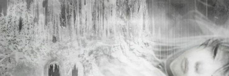 FlorSerpentini's profile banner image