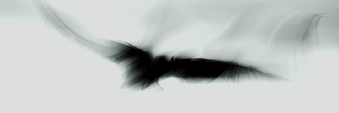 xtal1ze's profile banner image