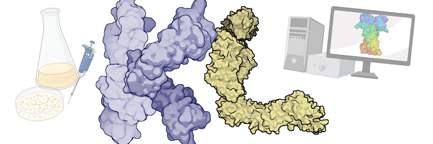 Andrea Kravats banner