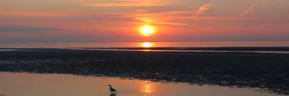 bethany ✨🪩💃🏽 banner