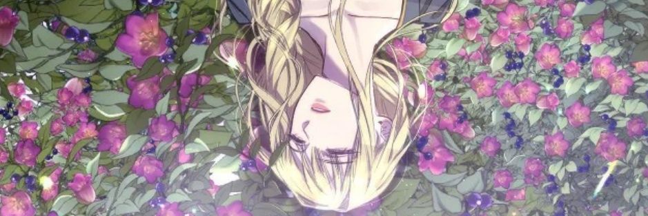 nadine banner
