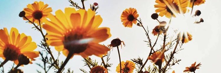 katherineemma's profile banner image