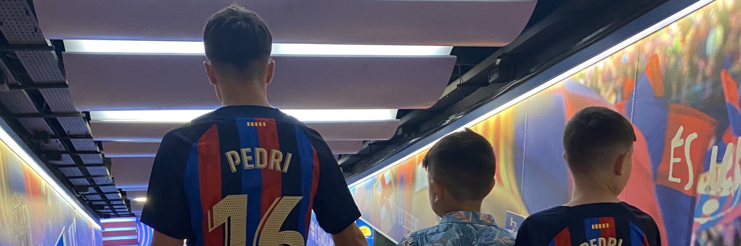 Daniel Gauntlett banner