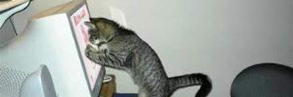 GACat Profile Banner