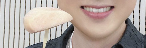 iridescentpitta Profile Banner