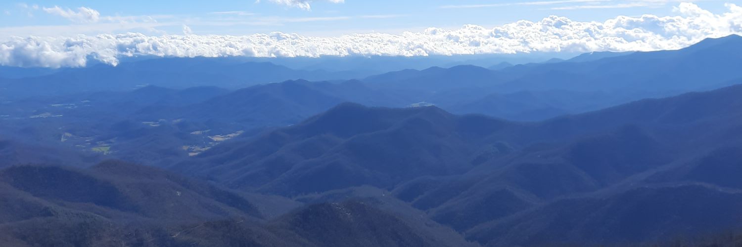 Michael Sitton banner