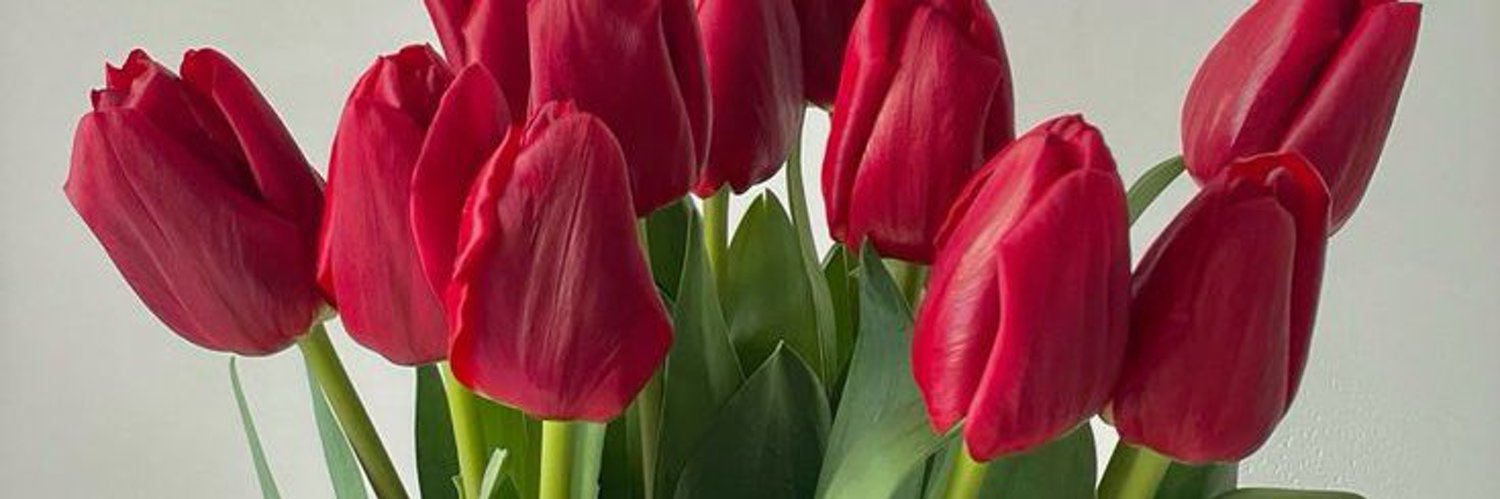 Therealosas__'s profile banner image