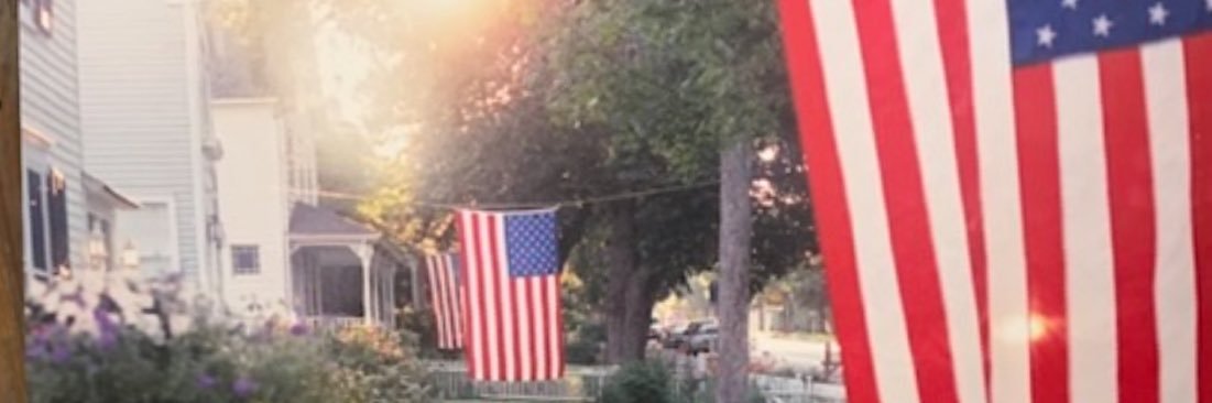 leeziapond's profile banner image