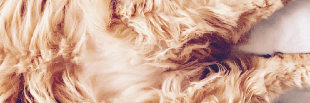 banasao's profile banner image