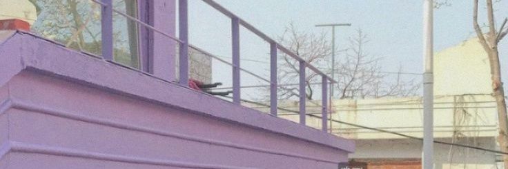 cAca🫐 banner