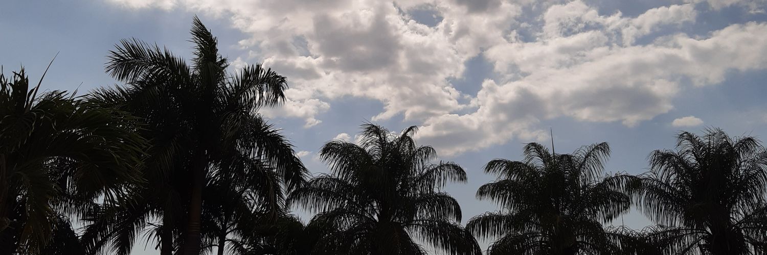 DeysiAyleenn's profile banner image