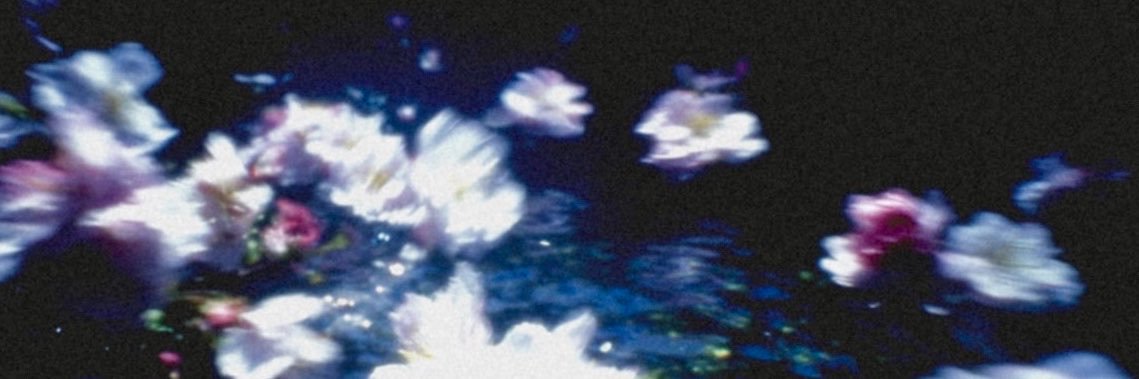 Roqses's profile banner image
