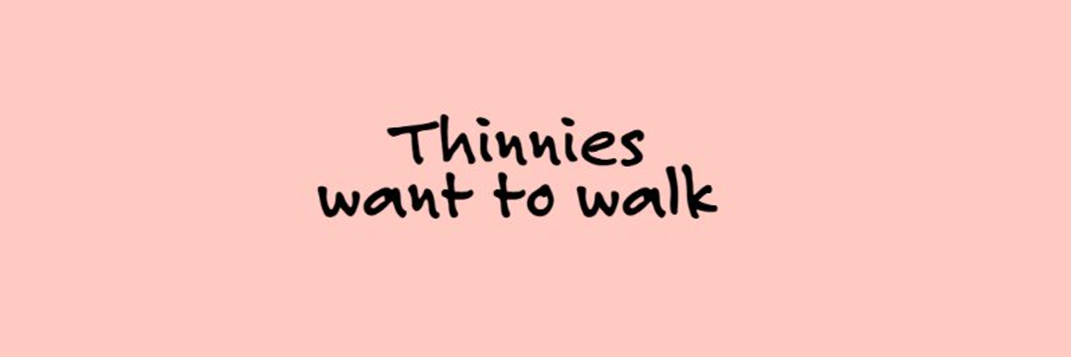 Thinnies 🔺 Profile Banner