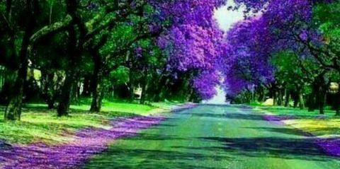 836Daham's profile banner image