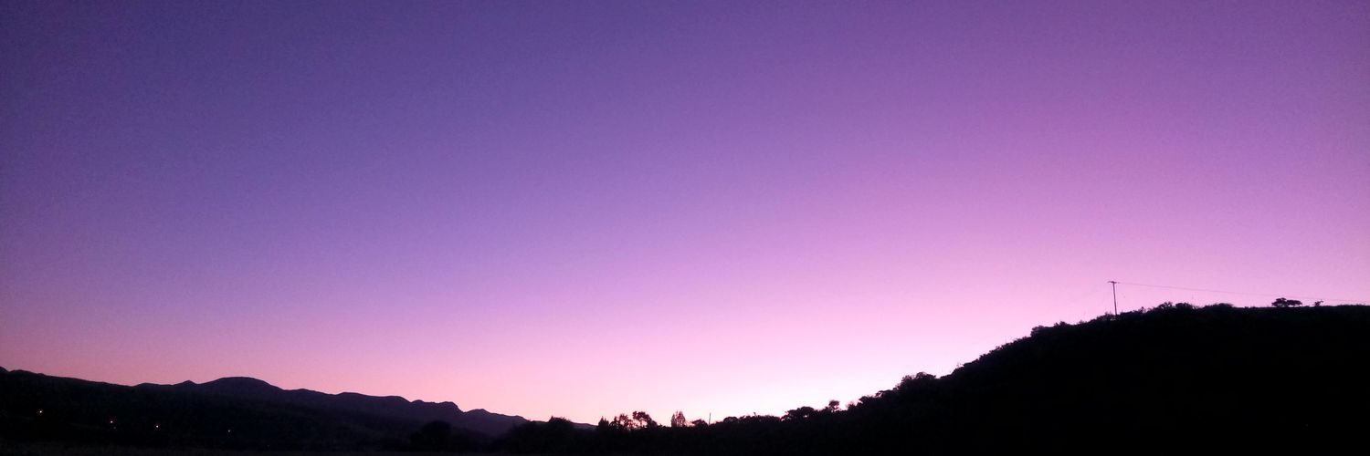 ✨Nelly✨💜🍉 banner