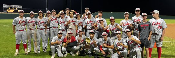 LBBBaseball Profile Banner