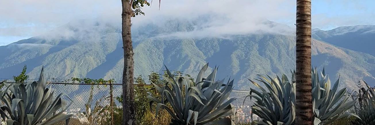jeanethcabrera's profile banner image