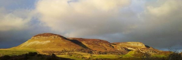 tolanAHP Profile Banner