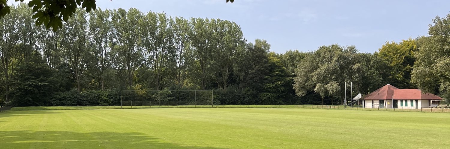 Sander Mahne banner