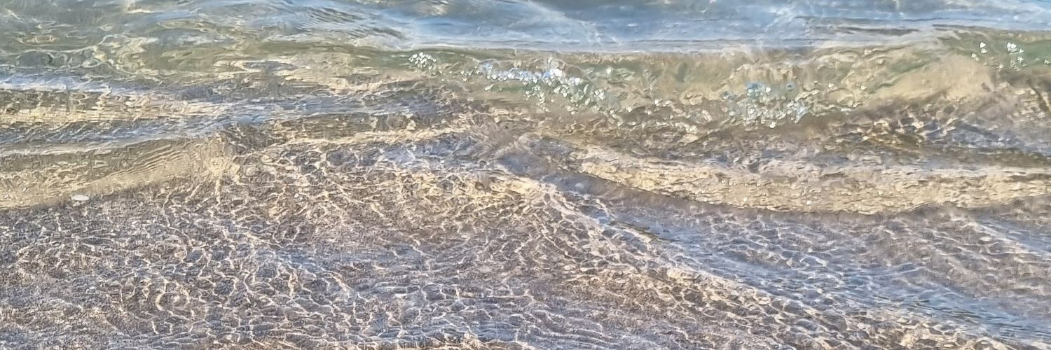 NancyEsquivel_'s profile banner image