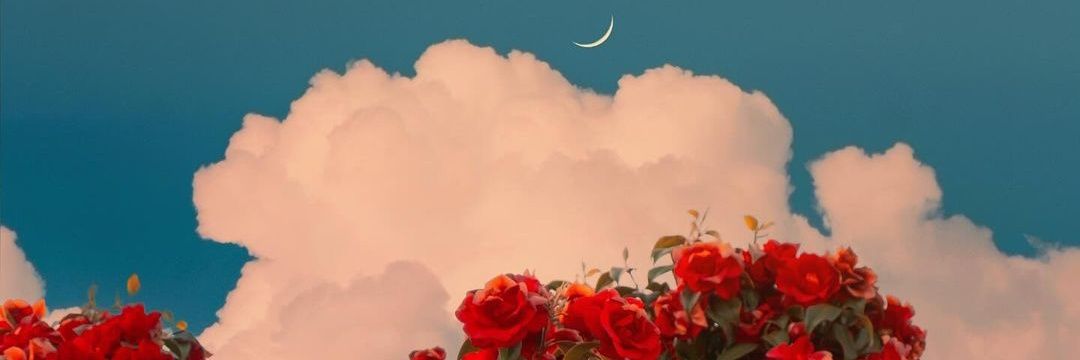 mademonges's profile banner image