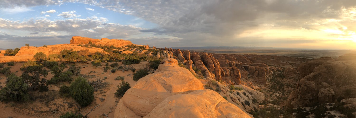 Rachel Hansen banner