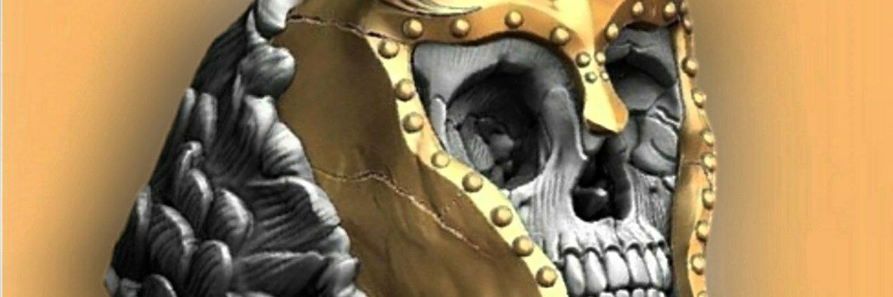 The Real Sniperee 🦍 banner