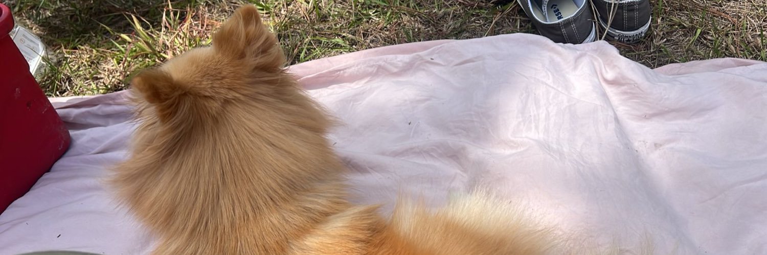jackielezama's profile banner image