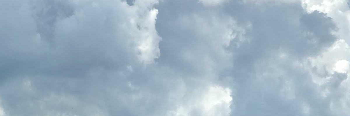 Cookie_Madness's profile banner image