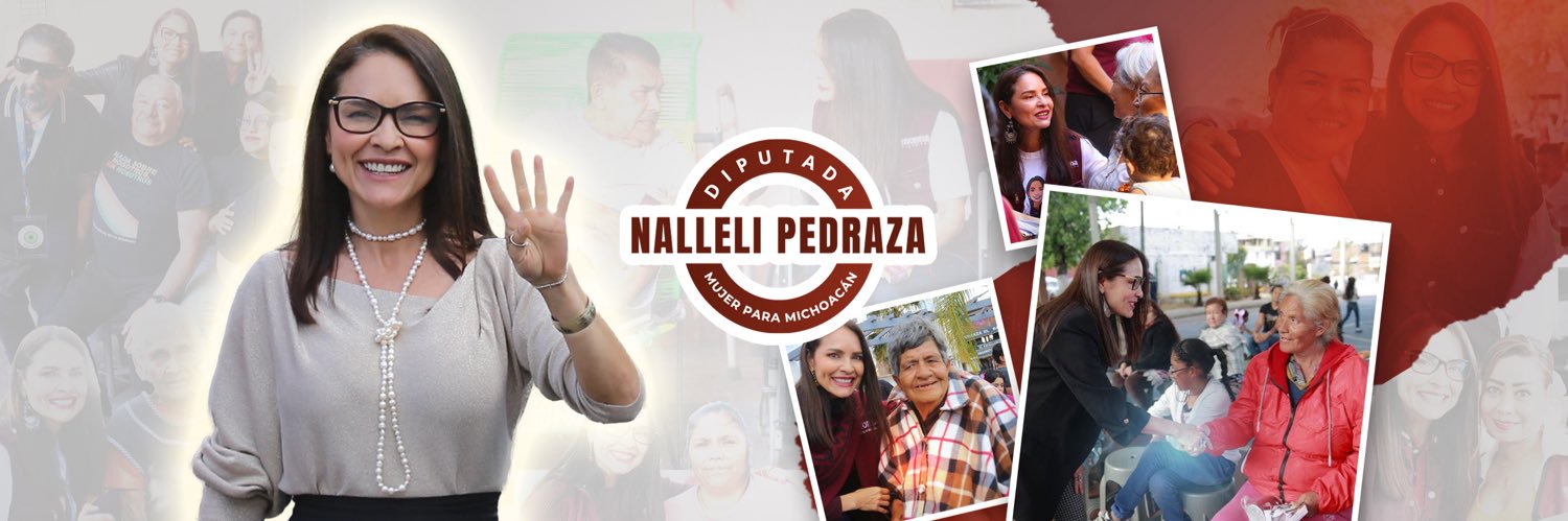 nallelipedrazah's profile banner image