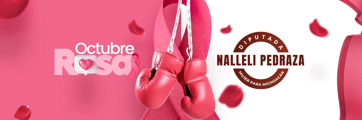 nallelipedrazah's profile banner image