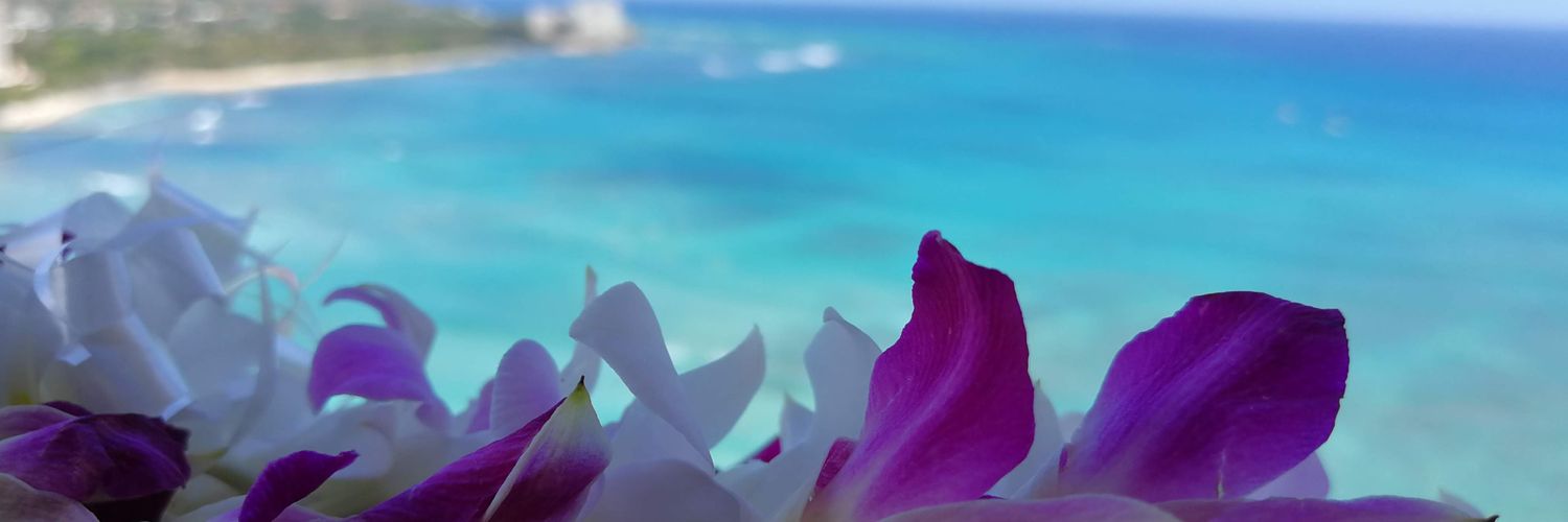 awamhym's profile banner image