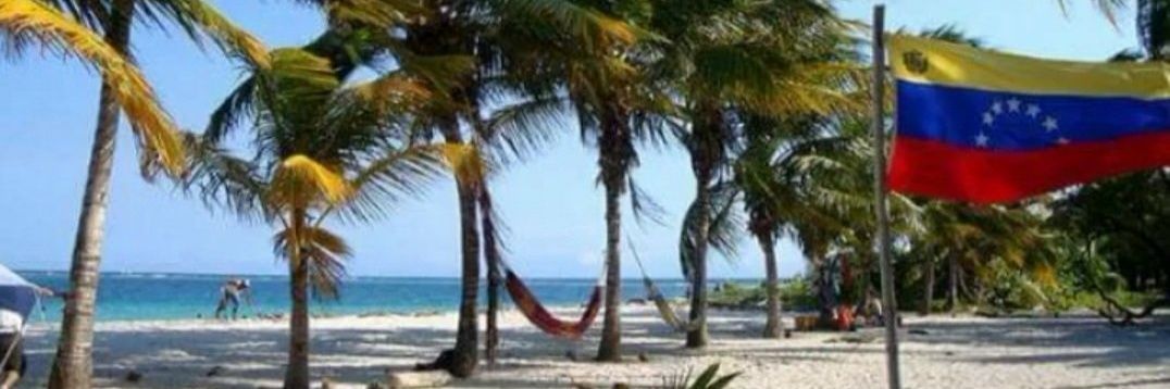 Hildegard Seijas banner