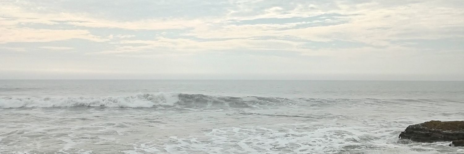 S_ZT20's profile banner image