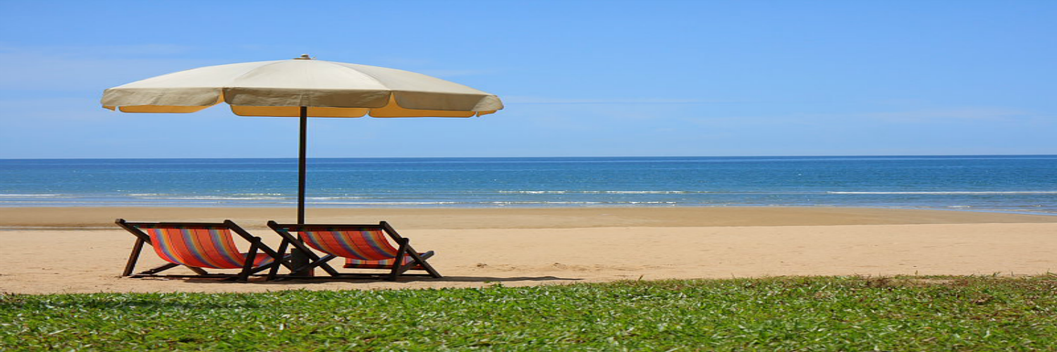 FlorenceCallender banner