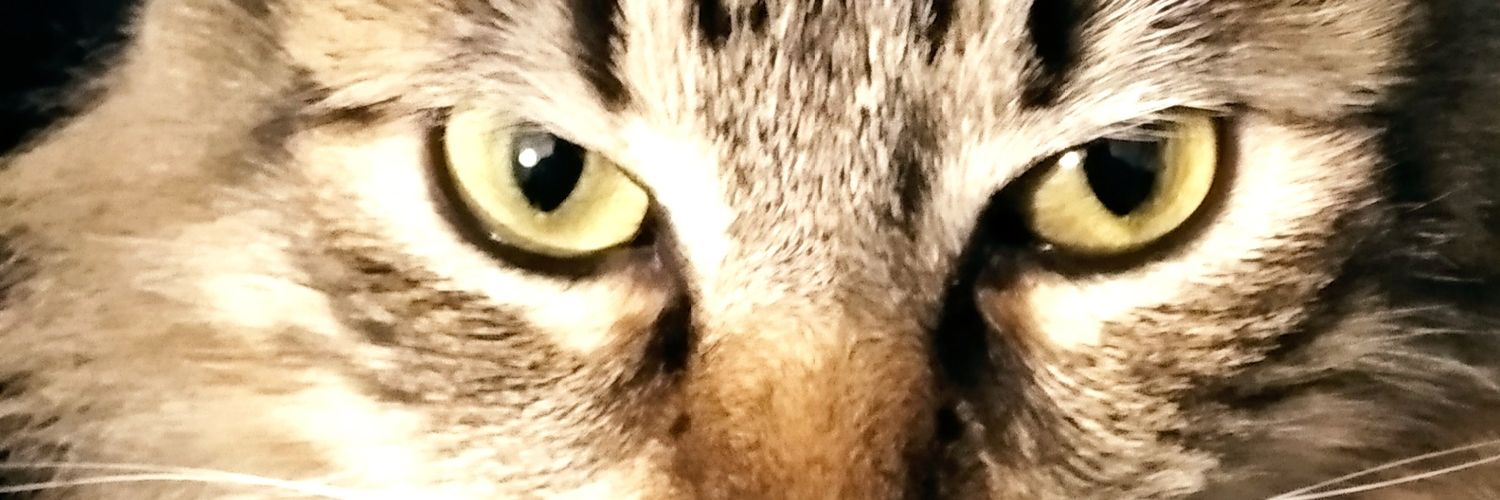 CARLOS RIVAROLA🇵🇸 banner