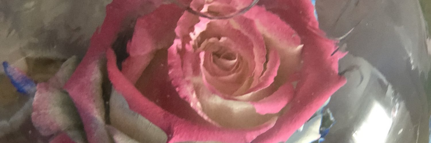 julia_sanchez16's profile banner image