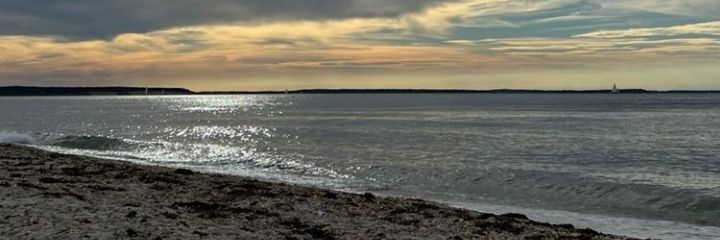 tabrezzzz banner