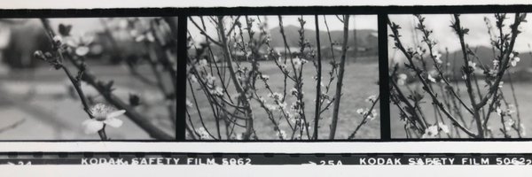 cvhorii Profile Banner