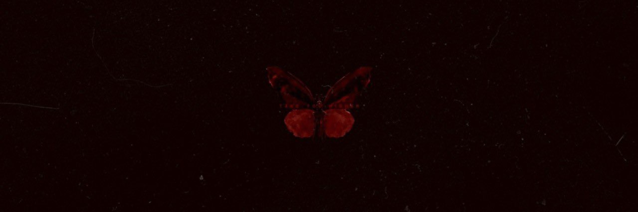 marcy!! ☾⋆⁺₊✧𓄀 #DDBA banner