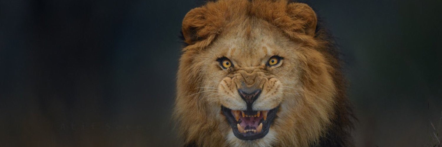 quafrmcmd's profile banner image