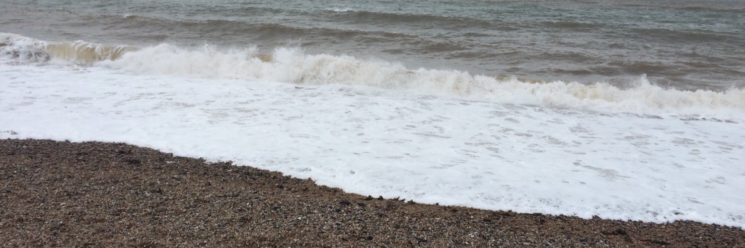 ⭐️ Jodie Tucker ⭐️ banner