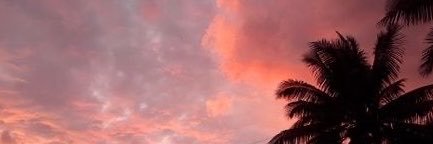 Milliemines_'s profile banner image